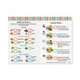 Ігровий набір Melissa&Doug Продуктовий набір "Обід" (MD8268) - зображення 3