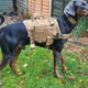 Підсумок тактичний із системою MOLLE Harness, сумочка для шлейки Коричневий (121-KHAKI) - зображення 9