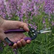 Секатор обводной для цветов 190мм GRAD - изображение 2
