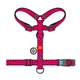 Шлей WAUDOG Nylon H-подібний для собак з QR-паспортом червоний. (LKMTR_845980) - зображення 2