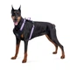 Шлея для собак безопасная WAUDOG Nylon c QR паспортом, металлическая пряжка-фастекс, L, Ш 25 мм, А 55-85 см, В 65-85 см фиолетовый - изображение 5