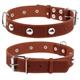 Ошейник "CoLLaR" одинарный с украшениями (ширина 35мм, длина 48-63см) коричневый - изображение 1