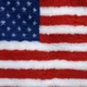Килимок Jackson Textiles Non-Slip USA 80х96 см (JT-019) - зображення 1