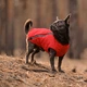 Жилет для животных Pet Fashion "E.Vest" S красный (4823082424450) - изображение 3