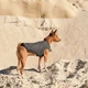 Жилет для животных Pet Fashion "E.Vest" XS-2 серый (4823082424368) - изображение 5
