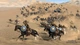 Ключ активации Mount & Blade II: Bannerlord Digital Deluxe Edition для Xbox One/Series - изображение 2