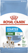 Сухий корм для собак Royal Canin Mini Starter дрібних порід у період вагітності та лактації 1 кг (3182550778657) (96012) (2990010) - зображення 1