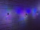 Гирлянда "Лампа Эдисона" RD-9009 8 лампочек 75LED Мультицветная 2.5м Цвет Мульти - изображение 4