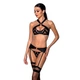 Сетчатый набор с узором, бюстгальтер, трусики, пояс для чулок Passion HIMA SET XXL/XXXL black - изображение 1