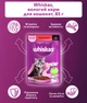 Упаковка влажного корма для котенка Whiskas говядина в соусе 28 шт х 85 г (5900951302701) - изображение 5