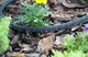 Сочащийся шланг Bradas AQUA-DROP 1/2" – 7,5 м WAD1/2075 - изображение 2