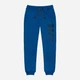 Детские теплые спортивные штаны-джогеры Minoti 11JOGGER 6 37283KID 80-86 см Синие (5059030928513) - изображение 1