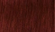 Перманентная крем-краска для волос Indola Permanent Caring Color 5.66х Светло-коричневый экстра красный 60 мл (4045787934700) - изображение 2