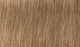 Перманентна крем-фарба для волосся Indola Permanent Caring Color 8.00 Світлий блонд інтенсивний натуральний 60 мл (4045787706512) - зображення 2