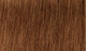 Перманентная крем-краска для волос Indola Permanent Caring Color 8.34 Светлый золотистый блонд медный 60 мл (4045787931709) - изображение 2