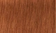 Перманентная крем-краска для волос Indola Permanent Caring Color 8.43 Светлый медный золотистый блонд 60 мл (4045787704914) - изображение 2
