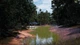 Ключ активации Bassmaster® Fishing: 2022 Bassmaster Classic® для Xbox One/Series - изображение 9