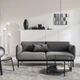 Диван 2-місний IKEA APPLARYD Lejde сіро-чорний (205.062.25) - изображение 2