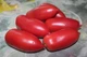 Семена Томат Карминные свечи, 0,1 г (GL Seeds) - изображение 2