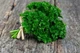 Насіння Суміш Кухонні трави, 20 г (GL Seeds) - зображення 4