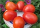 Семена Томат Страусинное яйцо, 0,1 г (GL Seeds) - изображение 3