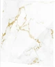 Витяжний вентилятор AirRoxy dRim 125 PS BB на кулькових підшипниках із панеллю MARBLE WHITE GOLD Glass - зображення 1