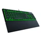 Клавіатура Razer Ornata V3 X UKR Black (RZ03-04471900-R371) - зображення 2