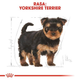 Сухий повнораційний корм для цуценят Royal Canin Yorkshire Terrier Puppy породи йоркширський тер'єр віком від 2 до 10 місяців 1.5 кг (3182550743471) (39720151) - зображення 7