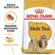 Sucha karma dla psów rasy shih tzu Royal Canin 1.5 kg (3182550743228) - obraz 3