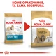Sucha karma dla psów rasy shih tzu Royal Canin 1.5 kg (3182550743228) - obraz 9
