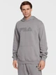 Худі чоловіче Fila FAM0277-80027 L Сіре (4064556362421) - зображення 1