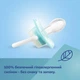 Пустышка Canpol Babies Toys силиконовая симметричная 6-18 месяцев Зеленая (23/292 Зелений) - изображение 4