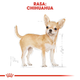 Сухий корм для собак Чихуахуа Royal Canin 1.5 кг (3182550728102) (2210015) - зображення 4