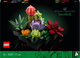 Конструктор LEGO Icons Сукуленти 771 деталь (10309) - зображення 1