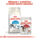 Sucha karma dla kotów domowych Royal Canin Indoor 4 kg (3182550706933) (25290409) - obraz 8