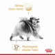 Sucha karma dla dorosłych psów Royal Canin French Bulldog Adult 500 g (3182550908436) (1255005) - obraz 6