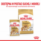 Sucha karma dla dorosłych psów Royal Canin French Bulldog Adult 500 g (3182550908436) (1255005) - obraz 7