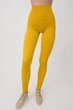 Леггинсы бесшовные в рубчик GIULIA Leggings RIB HONEY L/XL Горчичные - изображение 1
