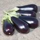 семена Баклажан Прадо F1 (KS27) 20сем Kitano Seeds - изображение 1