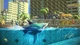 Ключ активации Hungry Shark® World для Xbox One/Series - изображение 4