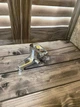 Одноважільний змішувач для душу Polo RAK Ceramics 30003-02 хром Арабська кераміка - зображення 2