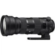 Объектив Sigma 150-600mm f/5-6.3 DG OS HSM Sports (Nikon F) - изображение 1