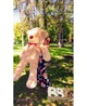 Мишка плюшевый BigBears 180 см. Мокко - изображение 3