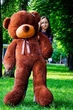 Мишка плюшевый BigBears 180 см. Шоколад - изображение 1