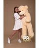 Мишка плюшевый BigBears 160 см. Персиковый - изображение 1