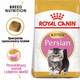 Sucha karma dla kociąt Royal Canin Kitten Persian 400 g (3182550721202) (2554004) - obraz 2