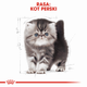 Sucha karma dla kociąt Royal Canin Kitten Persian 400 g (3182550721202) (2554004) - obraz 6