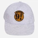 Детская бейсболка для девочки Disney Harry Potter HP 52 39 286/287 52 см Серая (5904009112670) - изображение 1