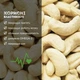 Горіхи кешью сирі 500 г натуральні Cashew N (Cash-Rus-n-r-500) - зображення 2
