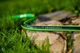 Поливочный пятислойный шланг Green Ats2™ 5/8'' 25м Cellfast - изображение 3